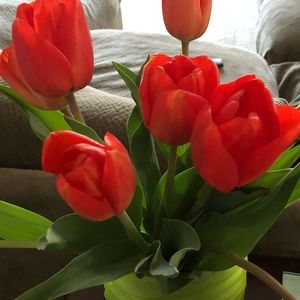 Meet your Posher, Corinne